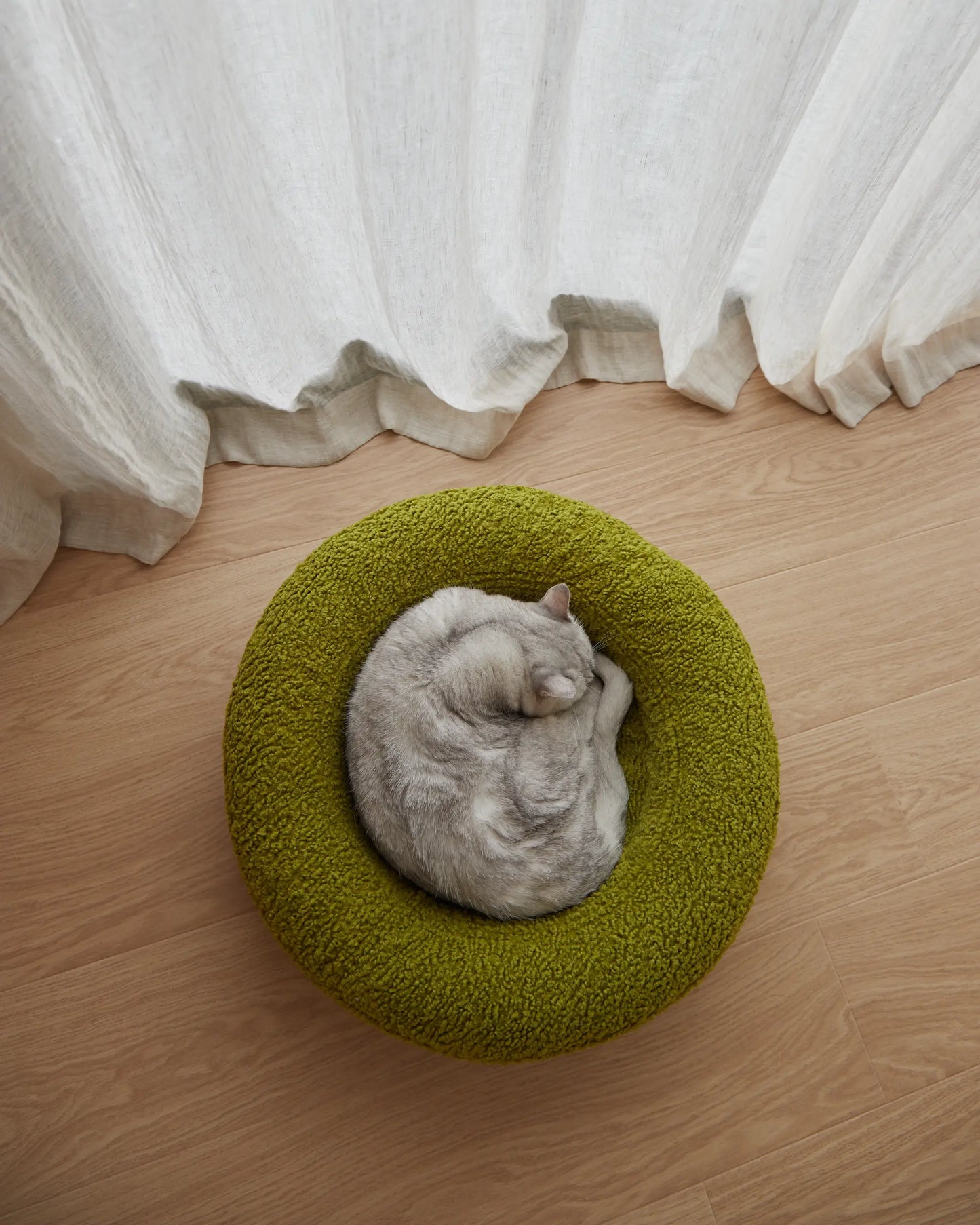 Teddy Cover