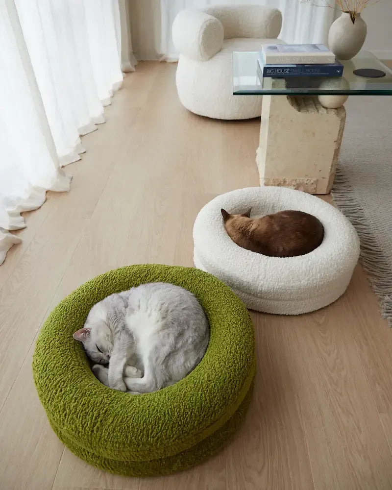 Cat Street